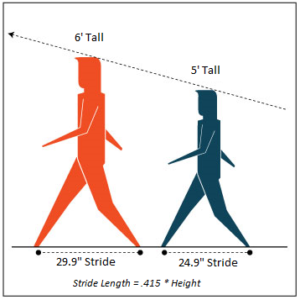 stride-length